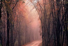 大连一方战胜强敌，喜迎胜利