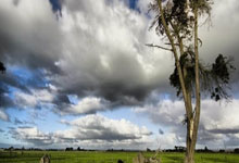 德天空:西蒙斯已随莱比锡飞往法国参加友谊赛,他预计会登场,西蒙斯首秀