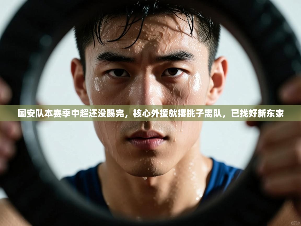 国安队本赛季中超还没踢完，核心外援就撂挑子离队，已找好新东家  第1张