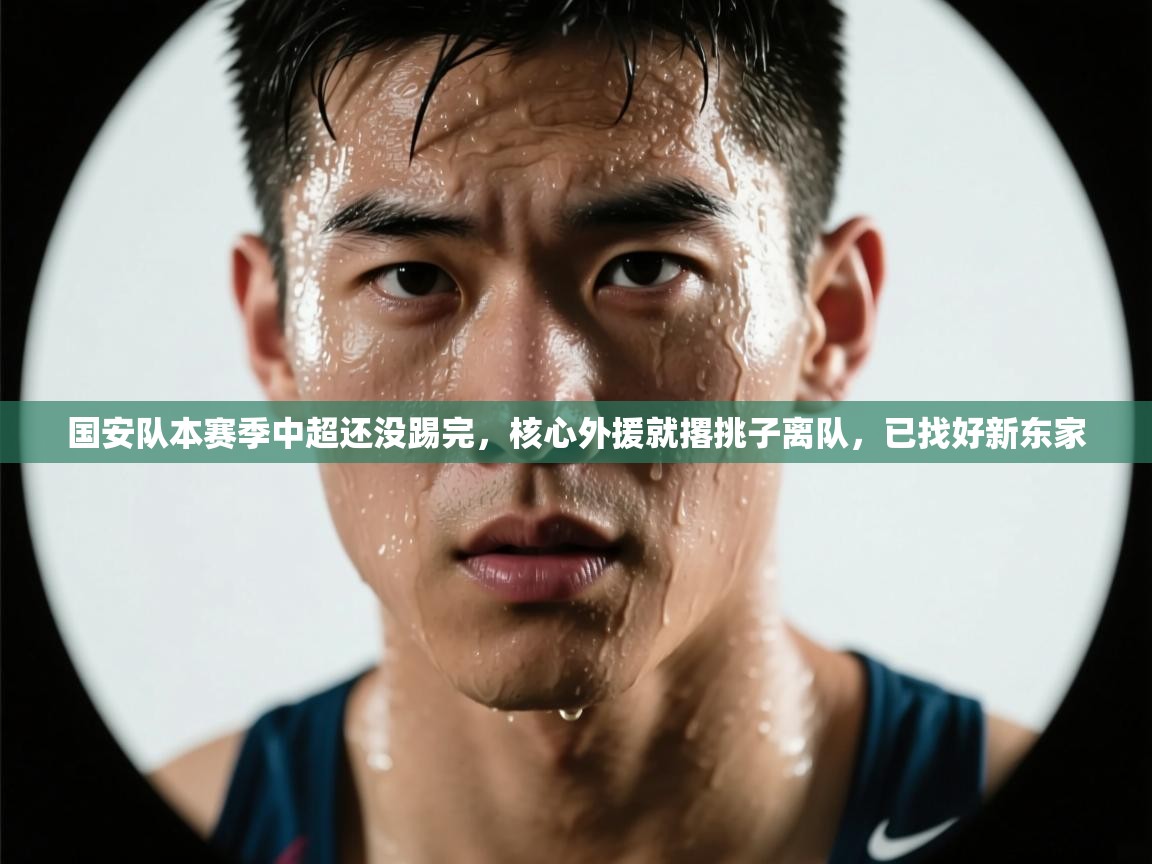 国安队本赛季中超还没踢完，核心外援就撂挑子离队，已找好新东家  第2张