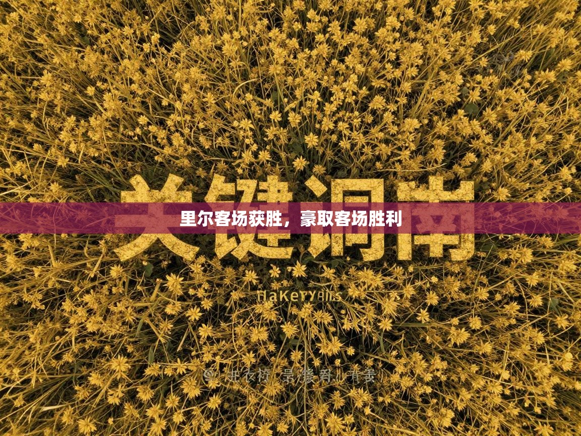 里尔客场获胜，豪取客场胜利  第1张