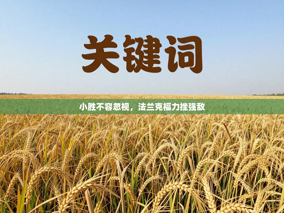 小胜不容忽视,法兰克福力挫强敌 第2张